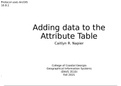 Adding data to the attribute table in ArcGIS (protocol)
