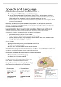 Summary + lecture notes; speech and language (neuroscience)