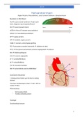 Pathologie van de tractus circulatorius