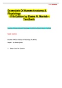 Essentials of human anatomy physiology 11th edition by elaine n marieb test bank docx