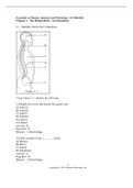 Chapter 1: Human Body - An Orientation Practice Test