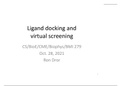 ligand-protein docking & virtual screening