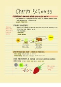 Contemporary Biology Unit 5 Notes