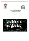 lipides et glucide rapport TP