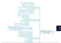 Summary Risk Management and Mindmaps Option Techniques (Y55127)