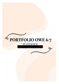 Pleidooi (portfolio) , OWE 6/7 (PIP), HAN, Verpleegkunde