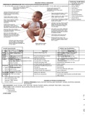 Pediatric Physical Assessment with Images and Charts