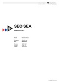 Case uitwerking SEA & SEO Opdracht 2 & 3