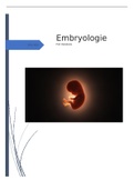 Embryologie: semester 2 volledige samenvatting