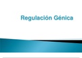 Regulation genetics