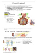 Samenvatting anatomie ademhalingsstelsel