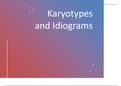 Karyotypes and Idiograms