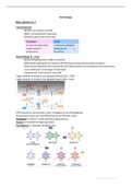 Moleculaire biologie leerjaar 2