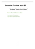 Basics of molecular biology computer practical answers