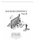 Exam (elaborations) Economics Ecs1601 (ECS1601) 