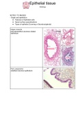01 epithelium histology notes to 65 slides / images Class notes MTY1204 (histology)  Junqueira's Basic Histology: Text and Atlas, Sixteenth Edition, ISBN: 9781260462975