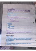 Class notes POLS1101