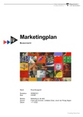 Volledig marketingplan Marketing in de stad | 8,3