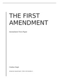 The first amendment paper