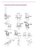 Overzicht te kennen structuren biochemie en eiwittechnologie