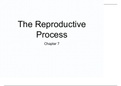 BIOD210-The Reproductive Process Chapter 7 (Latest 2022) With Questions And Answers.