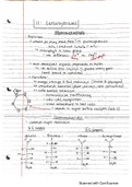 Carbohydrates Notes