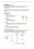 Hoorcolleges neuronale en hormonale regulatie (GZW jaar 2)