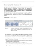 Samenvatting H28 |Basisboek IVK | Integrale Veiligheidskunde | Haagse Hogeschool