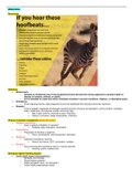 Clinical Medicine Infectious Disease Notes-High Yield & Comprehensive