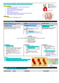 Clinical Medicine Emergency Medicine Notes High Yield & Comprehensive