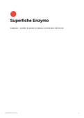 Superfiche (fiche condensée) du cours d'enzymologie de L3