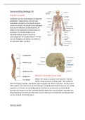 Biologie samenvatting menselijk lichaam