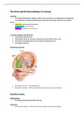 The brain and Neurobiology 