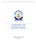 Inheritance concept in Islamic law