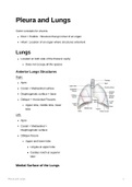 Anatomy of the Pleura and Lungs