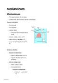 Anatomy of the Mediastinum
