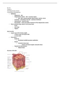 Essentials of Anatomy and Physiology Chapter 5