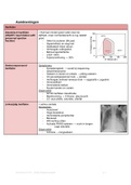 Overzicht Circulatie & Vasculaire stoornissen 