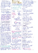 class 12th chapter biotechnology principles of inheritence complete hand written notes 