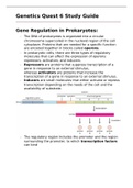 Gene regulation before and after transcription
