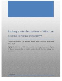 Exchange Rate Fluctuations - Reducing Instability